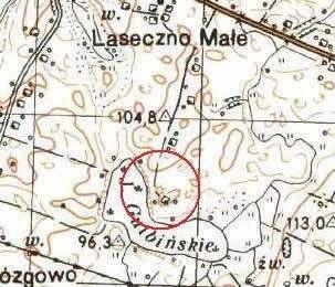 Problematyka gródków stożkowatych na obszarze województwa warmińsko-mazurskiego Ryc. 67. Laseczno Małe, st. 1. Lokalizacja grodziska na mapie w skali 1 : 25000 Fig. 67. Laseczno Małe, site 1.