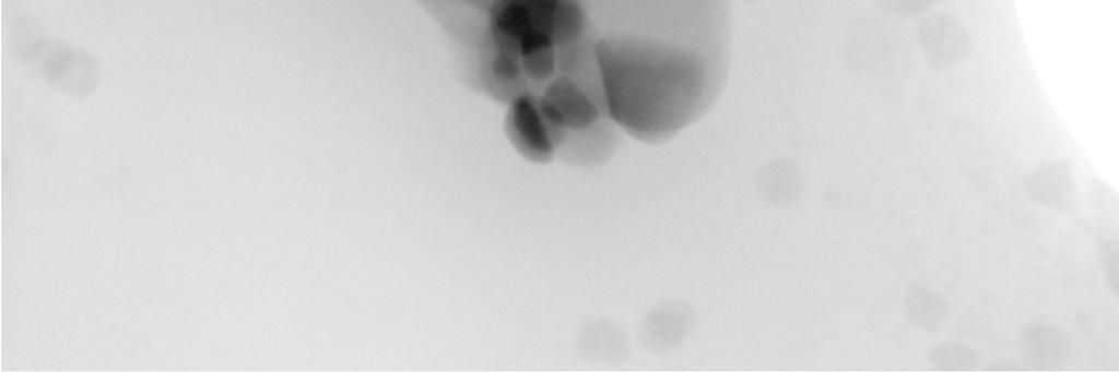 Nanocząstki kobaltytów La1-yCayCoO3 o koncentracji wapnia y = 0,4 (po lewej obraz HRTEM) i y = 0,9 (po prawej obraz STEM).