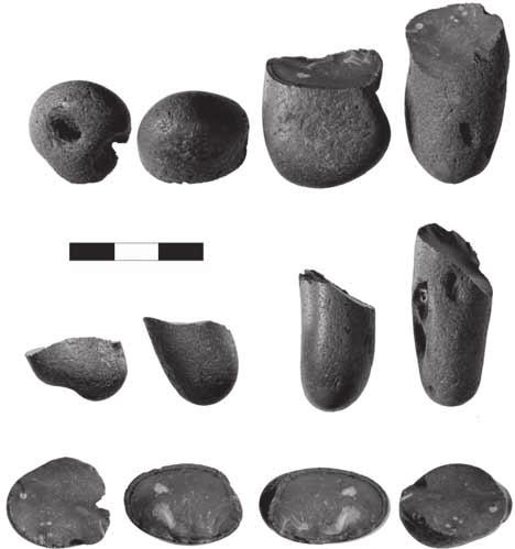 Fig. 3.