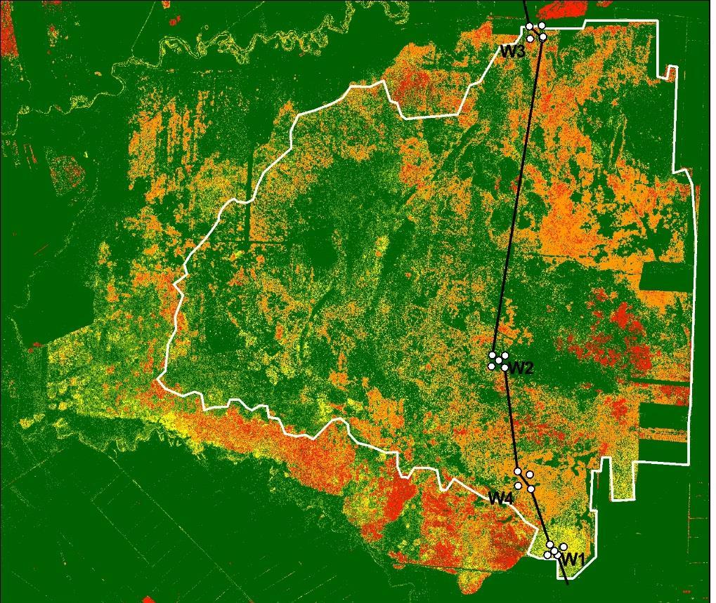 pożary > 5
