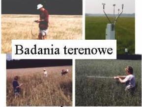 Archiwalna baza danych