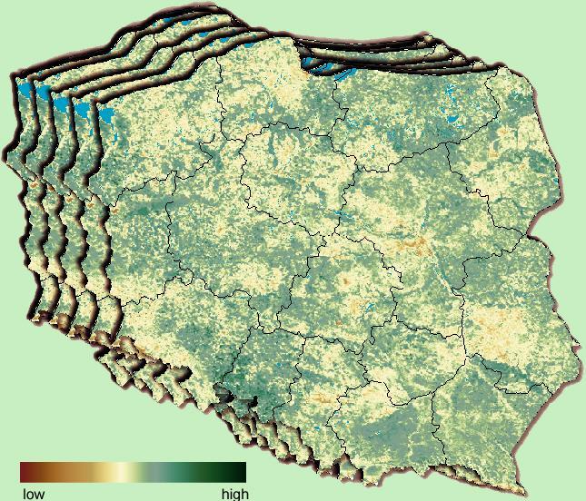 Budowanie wskaźników