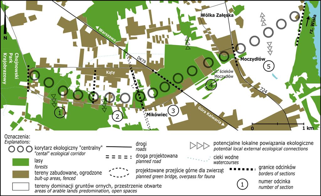 Ocena funkcjonowania korytarzy... Rysunek 3. Wybrane elementy zagospodarowania przestrzennego obszarów położonych w zasięgu centralnego korytarza ekologicznego (oprac. wł.). Figure 3.