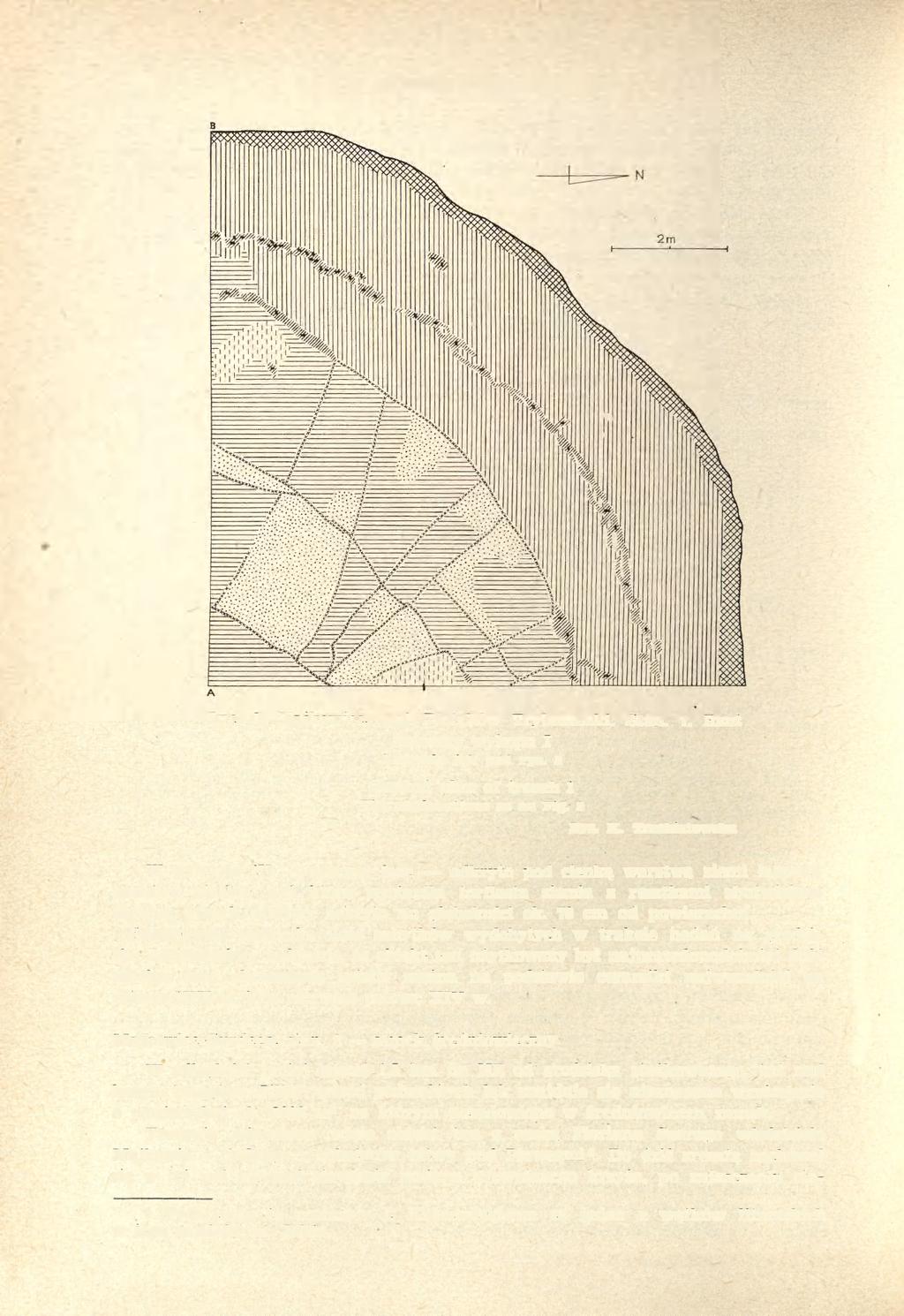 238 ALDONA CHMIELOWSKA Ryc. 3. Majkowice, woj. Piotrków Trybunalski. Stan. 1. Rzut poziomy wykopu I Legenda jak pod ryc. 2 Ground plan of trench 1 The explanations as on Fig. 2 Rys. K.