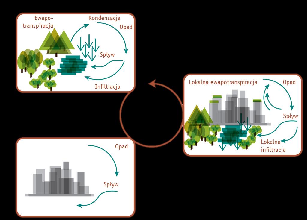 Cykl wodny w środowisku naturalnym Regeneracja cyklu wodnego w mieście przez metody ekohydrologii Cykl wodny w środowisku miejskim przy