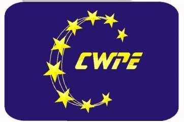 1 S t r o n a CENTRUM WSPIERANIA PROJEKTÓW EUROPEJSKICH S.A. RAPORT ZA IV KWARTAŁ 2012 r.