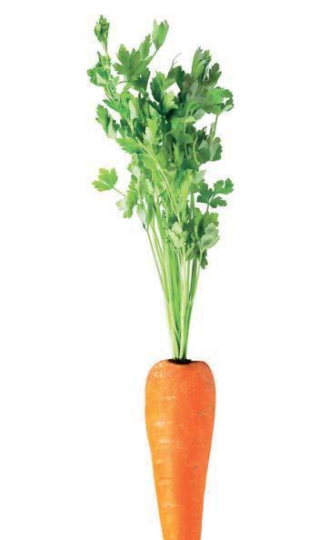 Smooth 2 porcje 200 g szpinaku 2 marchewki, pokrojone na grube plastry posiekane 700 ml