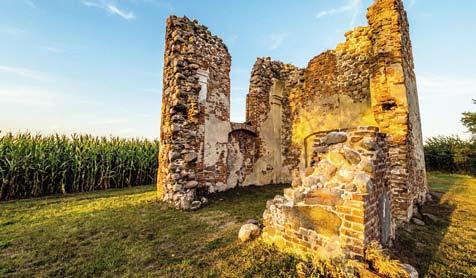 Przedstawiają one wysoki kunszt leszczyńskich kowali wykonujących swoje dzieła od połowy XVII w. do przełomu XIX/XX wieku.