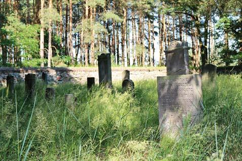 Na trasie: kościół ewangelicki w Miłosławiu, cmentarz ewangelicki w Sokolnikach, Bierzglinie, Węgierkach i Gonicach Niedziela 17 września Zapraszamy wszystkich o godz. 18.
