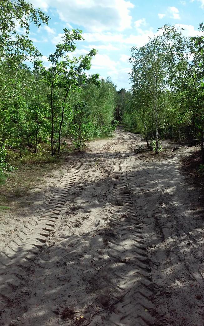 Wschód MTBO 1:7 500 i 1:10 000 e - 2,5 m Specjalistyczne mapy do RJnO.