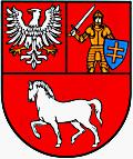 WYKONAWCA: Zarząd Powiatu Łosickiego ul. Piłsudskiego 6 08 200 Łosice WYKONAWCA: EKO-BIT Ochrona Środowiska i Informatyka Mirosław Osowiecki ul. Gen. J.