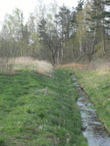 Korzeniówka rzeka przepływająca przez Szydłowiec Powiat szydłowiecki pod względem geologicznym zbudowany jest głównie z osadów mezozoicznych okresu jurajskiego oraz utworów trzeciorzędowych.