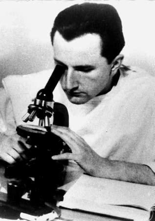 Pracowała w Zakładzie Anatomii Patologicznej przez 17 lat i utworzyła w nim Pracownię Hodowli Tkanek. Z Zakładu przeszła do Ośrodka Onkologicznego w Łodzi, gdzie kierowała pracownią Histopatologiczną.