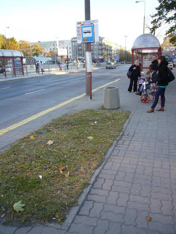 7) W okolicy przystanku Metro Pole Mokotowskie znajdują się dawne elementy trawników wygląda to