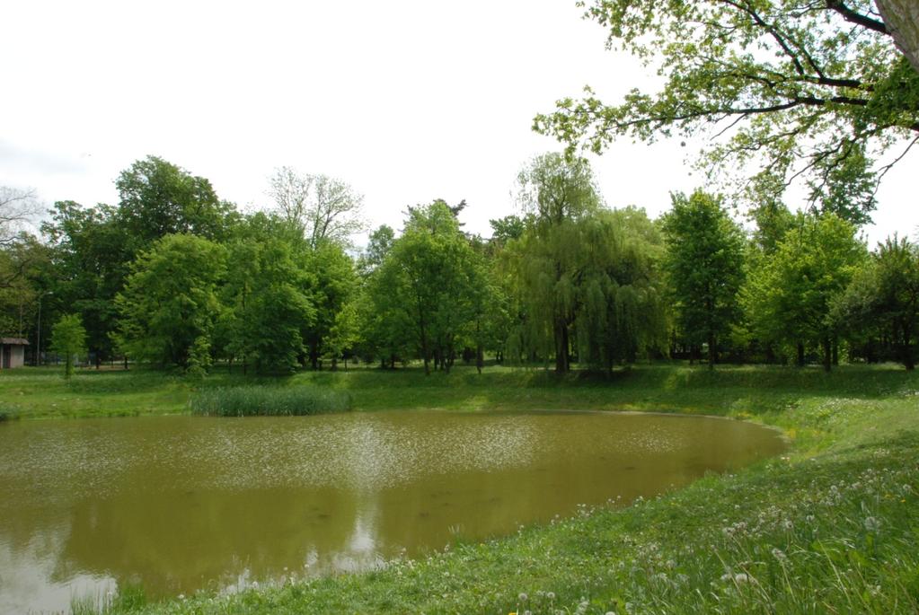 GMINNY PROGRAM OPIEKI NAD ZABYTKAMI DLA MIASTA KALISZA NA LATA 20172020 5.6.3 PARK DWORSKI W DAWNEJ WSI SZCZYPIORNO ul. Gościnna Sposób użytkowania Park publiczny.