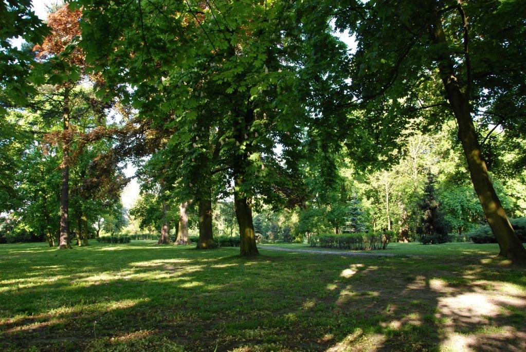 GMINNY PROGRAM OPIEKI NAD ZABYTKAMI DLA MIASTA KALISZA NA LATA 20172020 PARK DWORSKI W DAWNEJ WSI MAJKÓW, obecnie Park im. Rodziny Wiłkomirskich ul. Tuwima 10 Sposób użytkowania Park publiczny.