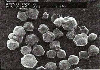 ARTYKUŁY ANALITYCZNO-PRZEGLĄDOWE 121 Rys. 4. Kształt i wielkość granulek skrobi szarłatu [26]. Fig. 4. The shape and size of the starch granules of amaranth [26].