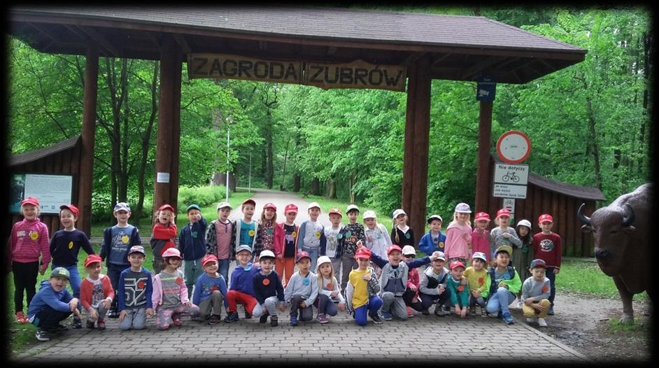 Podziwialiśmy różne gatunki zwierząt, od saren poprzez lisy, sowy, daniele czy