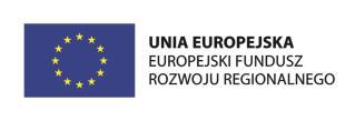 1 Platformy startowe dla nowych pomysłów, Poddziałania 1.1.1 Platformy startowe dla nowych pomysłów, finansowanego ze środków Europejskiego Funduszu Rozwoju Regionalnego.