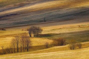 Małej / view of Stary Sacz with Poreba Mała