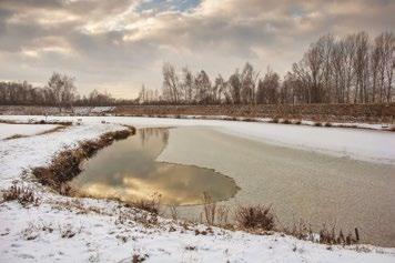 piękno natury w Nowej Wsi / the