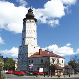 potrzeby organizacji EURO 2012 w