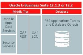 Oracle E-Business Suite można wdrażać, jako pełen zestaw lub stosować wybrane moduły.