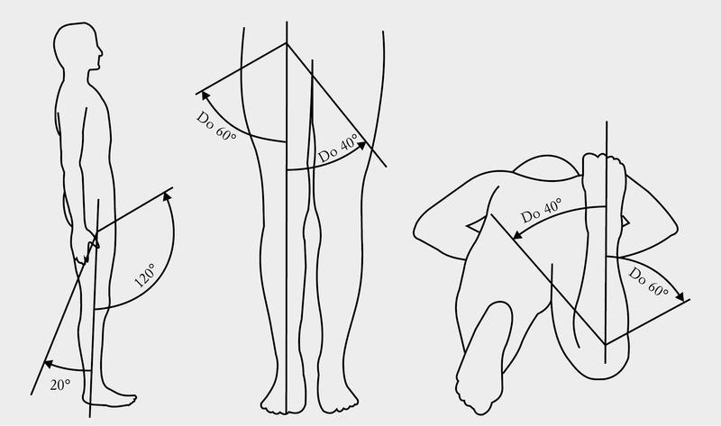 2.2 Biomechanika stawu biodrowego Ruchy w stawie biodrowym Prawidłowa, pionowa postawa ciała stanowi dla stawu biodrowego położenie krańcowe.