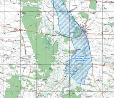 20 do 60 m n.p.m. W rejonie Doliny Konińsko-Pyzdrskiej dolina zachowała prawie naturalny charakter, nie została zmeliorowana i podlega okresowym zalewom.