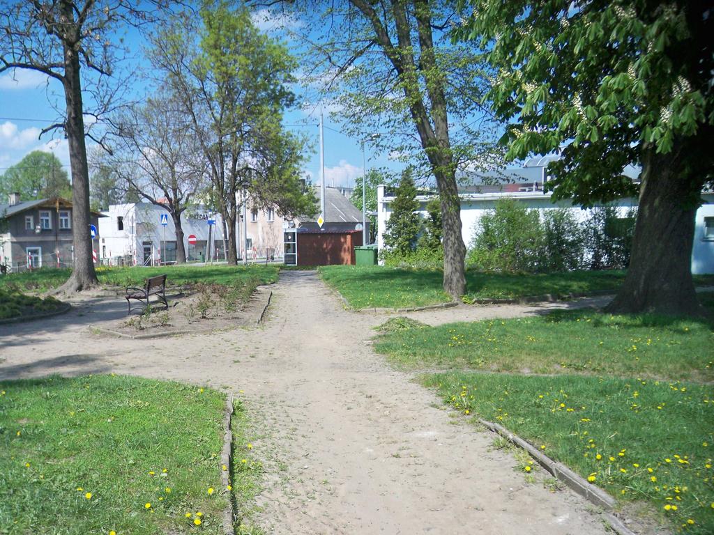 Istniejące zagospodarowanie parku to: wydzielone alejki o nawierzchni gruntowej oraz powierzchnia zielona w postaci trawników, krzewów niskopiennych i drzew liściastych.