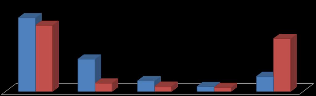 Koncentracja sprzedaży według najbardziej znaczących klientów za I półrocze 2010 roku i okres porównywalny 2009 roku przedstawia się następująco: Najważniejsi klienci według wartości sprzedaży I pół