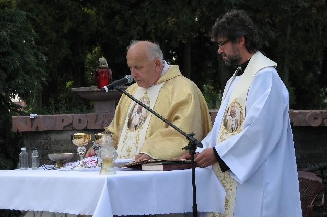 cmentarzu w Gołaszynie Ryc. 1.