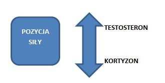 Postawa