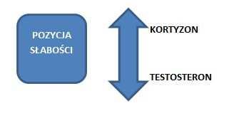 uczucia i