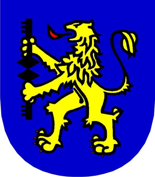 S P R A W O Z D A N I E Z REALIZACJI PROGRAMU WSPÓŁPRACY Z