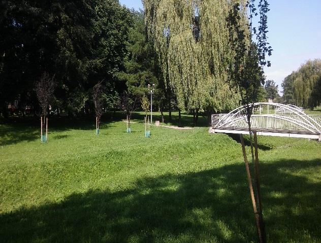 odznaczających się między innymi dużą mrozoodpornością, silnym zapachem, odpornością na choroby oraz powtarzaniem kwitnienia. Park św.