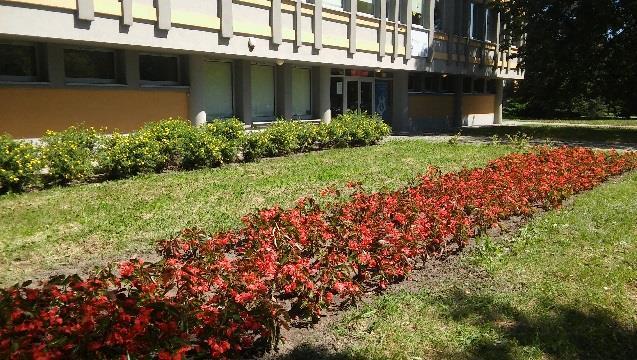 775,50 m2), zlokalizowanych na administrowanych przez TZUK nieruchomościach,