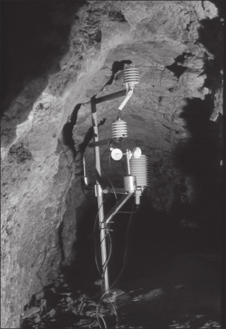 242 Zbigniew Caputa, Grzegorz Kłys Fot. 1.