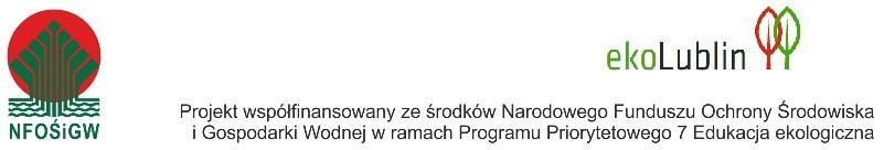 Rozwój transportu niskoemisyjnego na podstawie działań