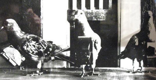 powietrznej ponownie spróbował swoich sił uwieczniając w 1868 roku Paryż (zdjęcie przetrwało do naszych czasów).