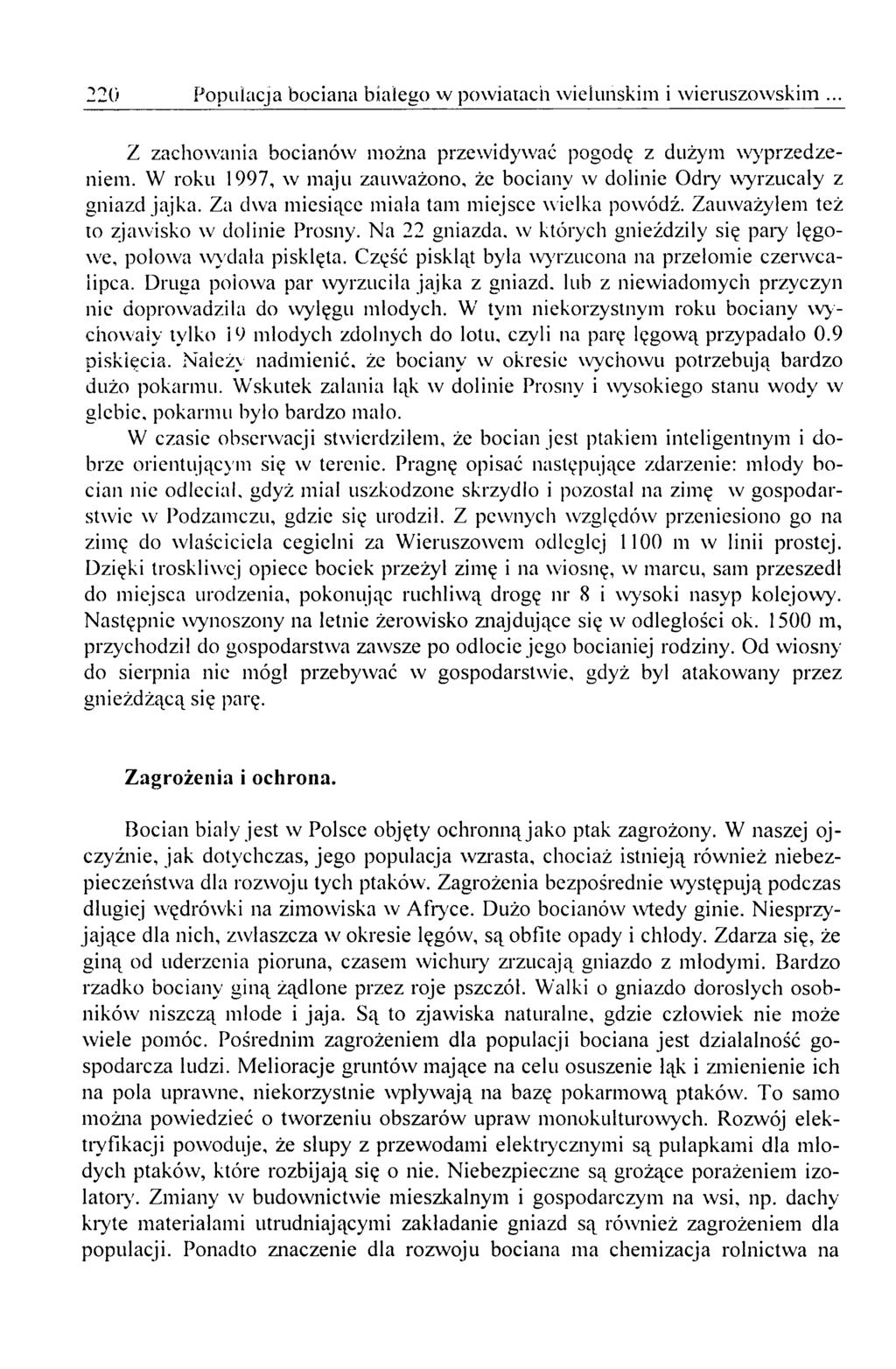 220 Populacja bociana białego w powiatach wieluńskim i wieruszowskim... Z zachowania bocianów można przewidywać pogodę z dużym wyprzedzeniem.
