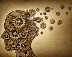 14. Wstęp do neurodydaktyki - techniki i możliwości pamięciowe mózgu Dzięki udziałowi w warsztacie Uczestnicy będą: znać zasady funkcjonowania mózgu i procesów pamięciowych, znać metody ćwiczeń