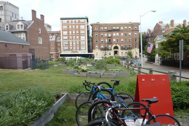 W radykalnie zdegradowanej dzielnicy miasta Lower East Side Green Guerillas jako pierwsza grupa tego typu rozrzucała wśród ruin bomby nasienne, wierząc, że gdy na zgliszczach wyrosną słoneczniki,