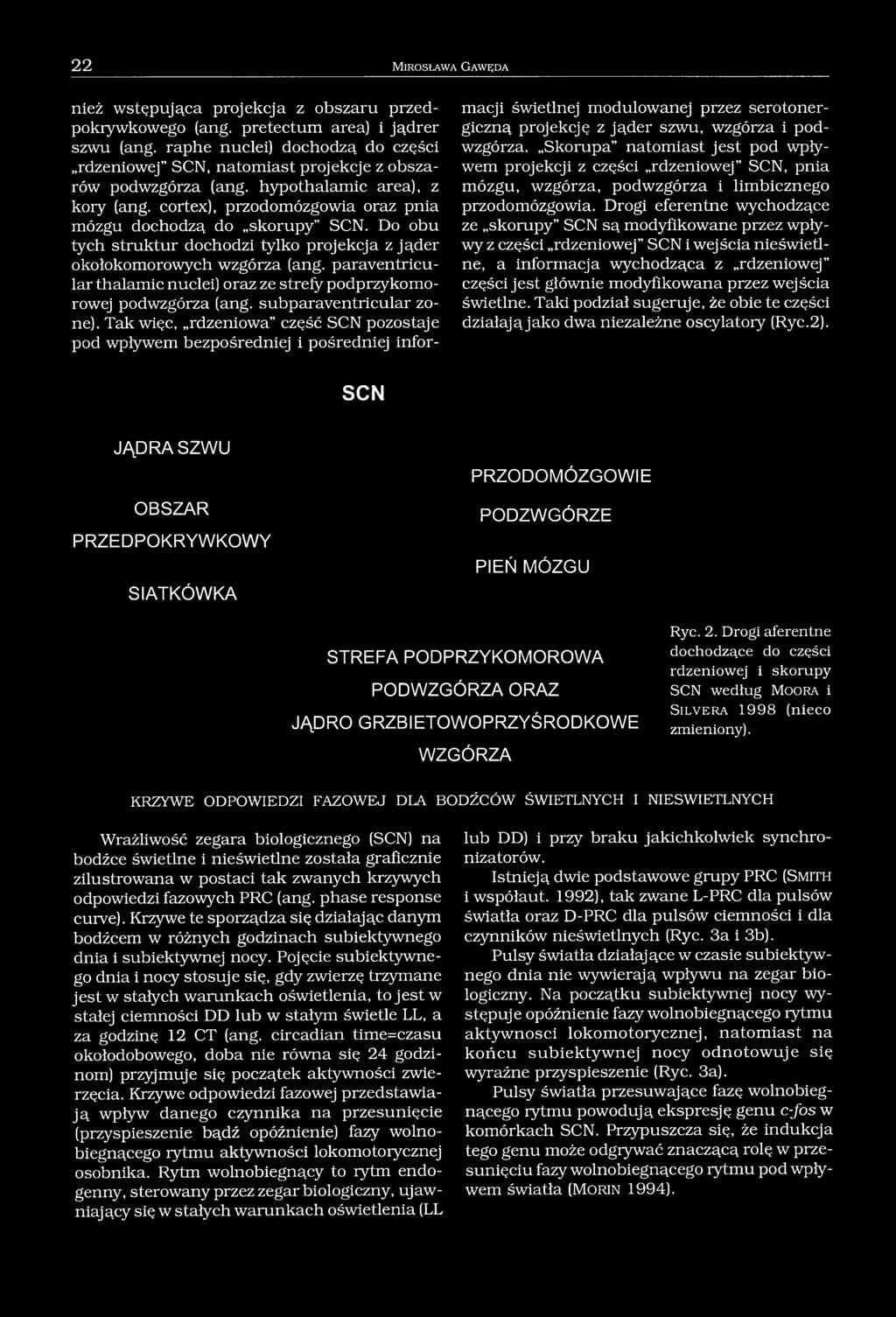 Do obu tych struktur dochodzi tylko projekcja z jąder okołokomorowych wzgórza (ang. paraventricular thalamic nuclei) oraz ze strefy podprzykomorowej podwzgórza (ang. subparaventricular zone).