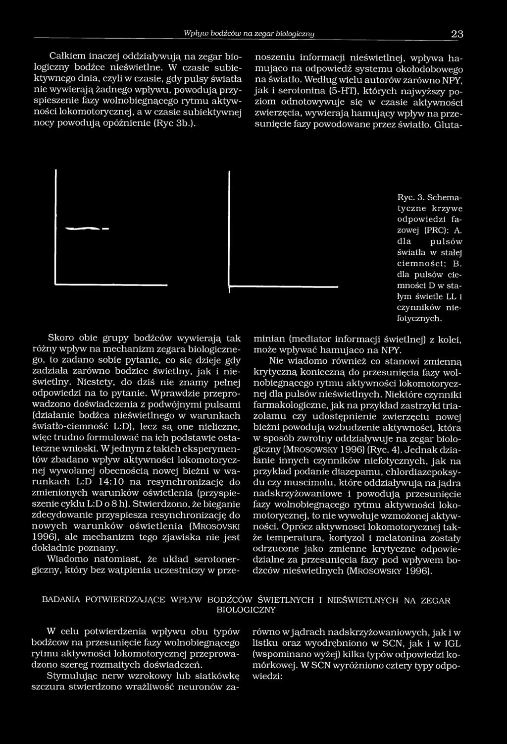 nocy powodują opóźnienie (Ryc 3b.). noszeniu informacji nieświetlnej, wpływa hamująco na odpowiedź systemu okołodobowego na światło.