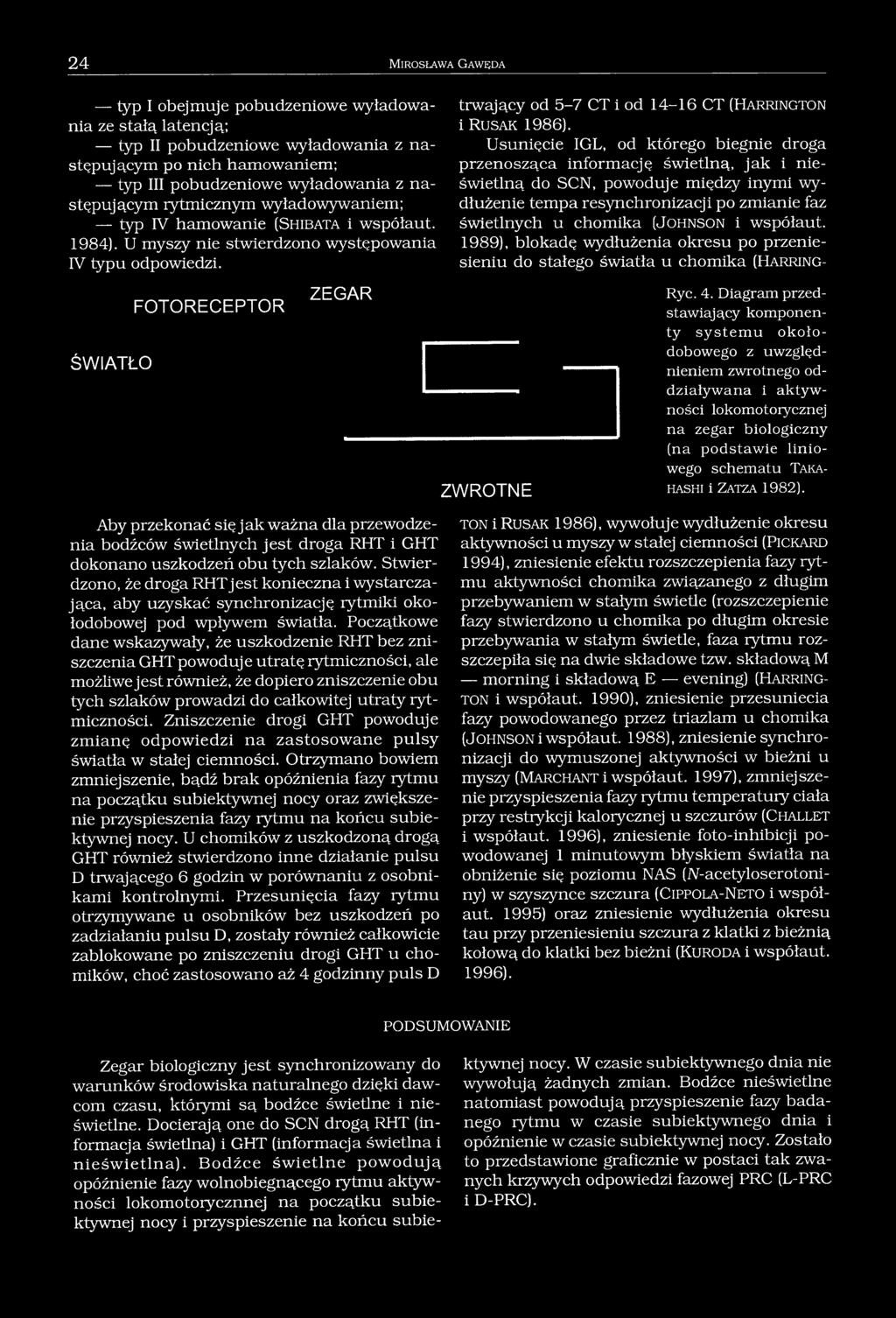 trwający od 5-7 CT i od 14-16 CT (Harring to n i R u sak 1986).