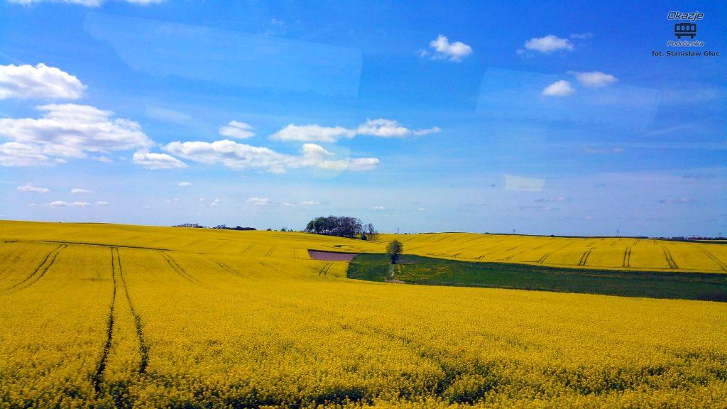 piękne pola
