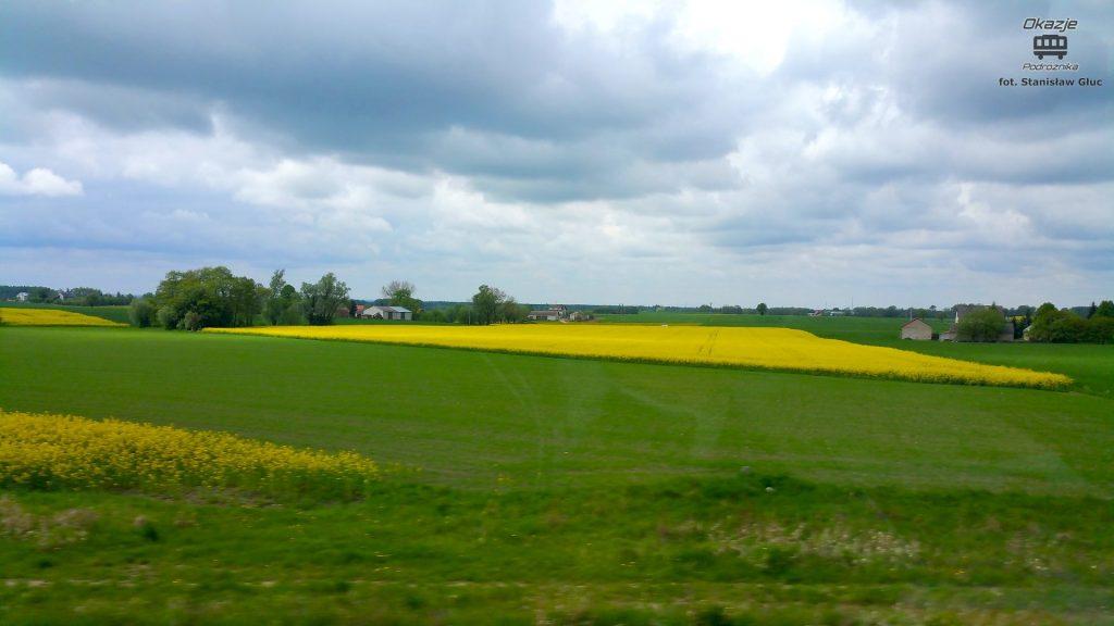 Prawie jak tapeta w Windowsie, ale to Polska i majowa natura za oknem.