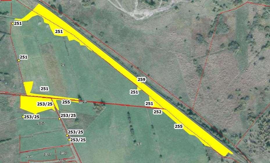 Działka: 251, 252, 253/25, 255 i 259 obręb 0008 Niekanin - łąki nad rzeką Stramniczką oraz skarpa nasypu torów