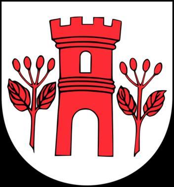 ŚWIDWIN NA LATA 2015